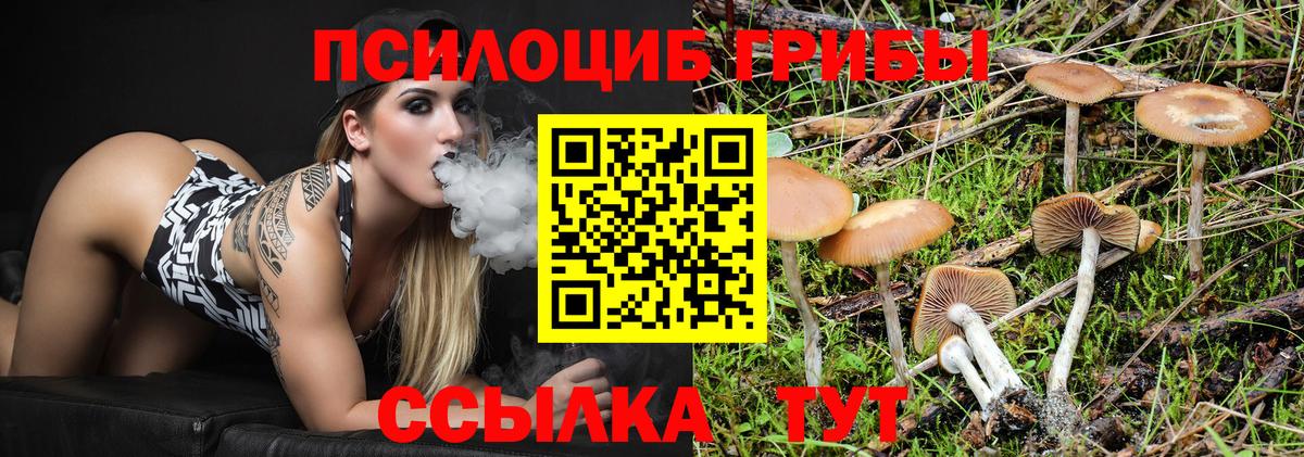 Псилоцибиновые грибы GOLDEN TEACHER  Вход с VPN  Галлюциногенные грибы Magic Shrooms  Кинешма 